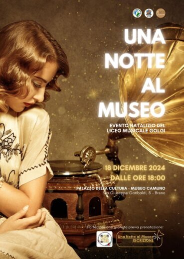 Museo Camuno